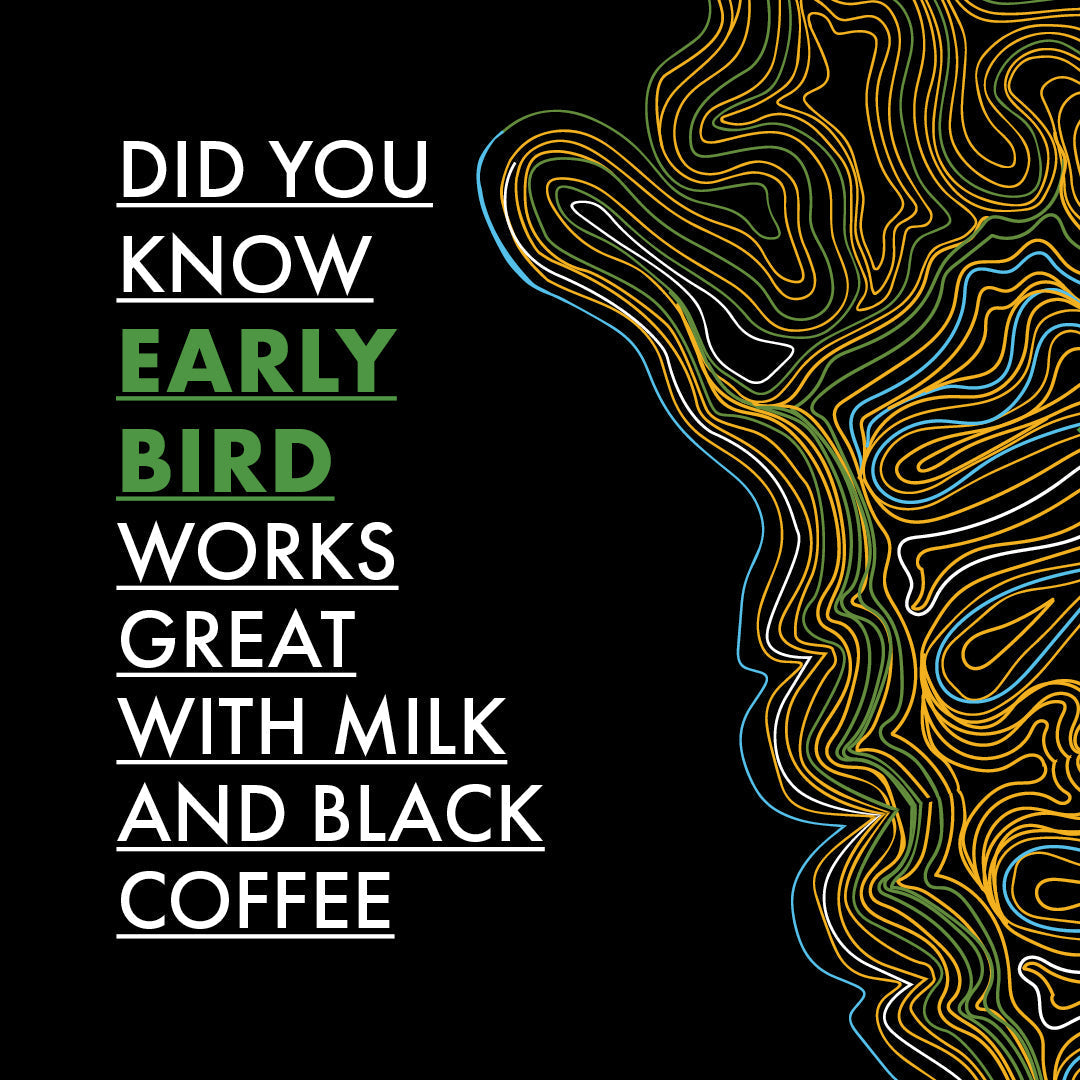 Early Bird Dark Roast Coffee – Rich, Nutty Flavour & Smooth Finish - AHA SUPERSTORE