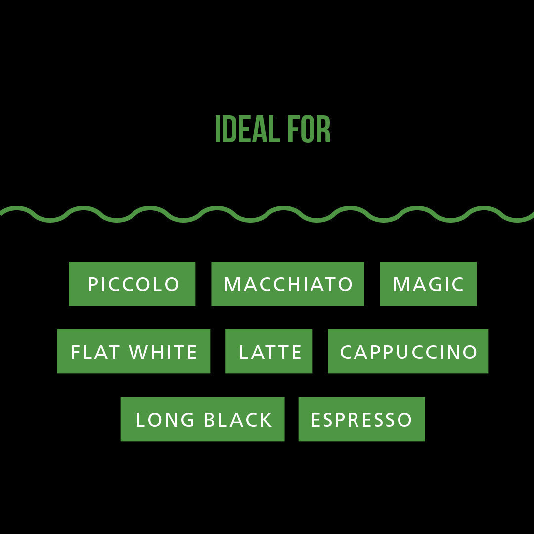 Early Bird Dark Roast Coffee – Rich, Nutty Flavour & Smooth Finish - AHA SUPERSTORE