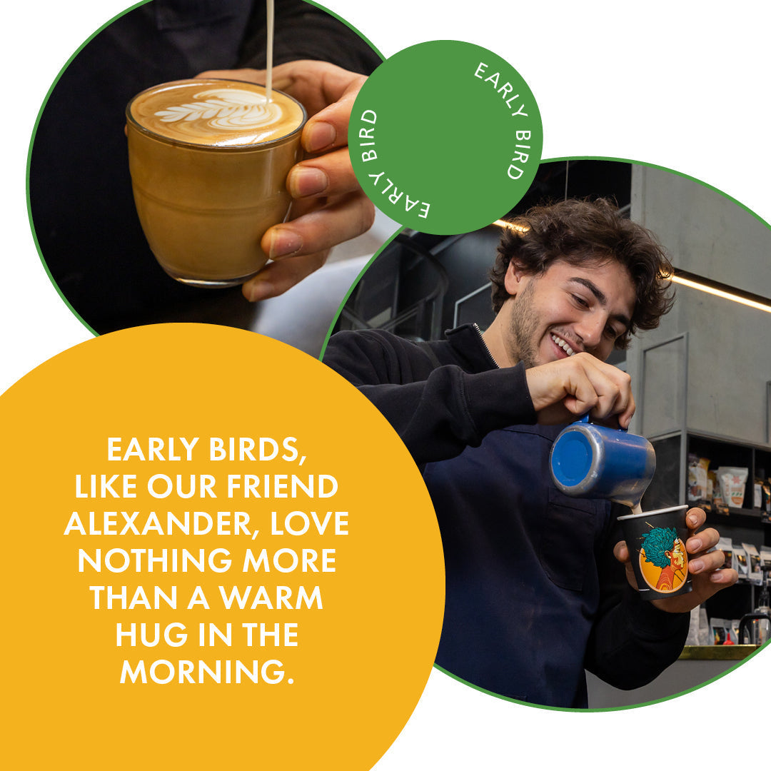 Early Bird Dark Roast Coffee – Rich, Nutty Flavour & Smooth Finish - AHA SUPERSTORE