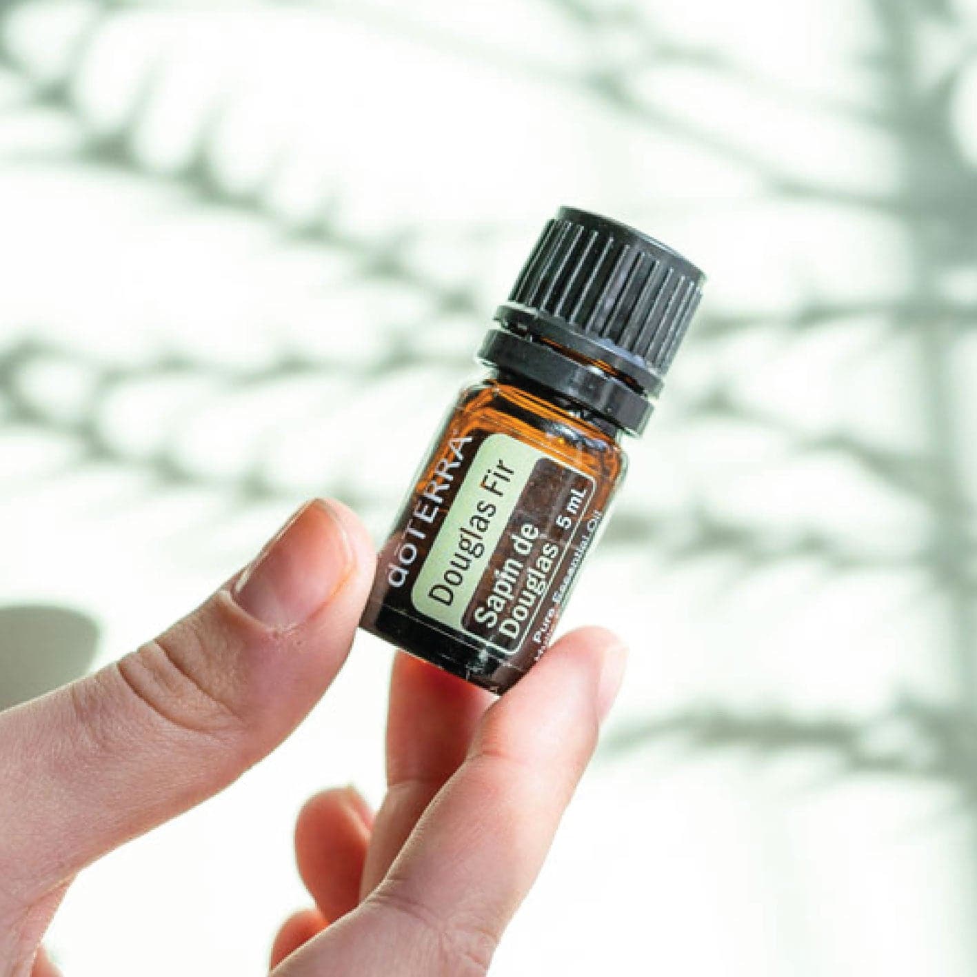 dōTERRA Douglas Fir Oil - 5ml