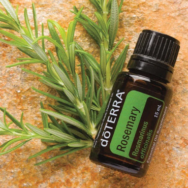 dōTERRA Rosemary Essential Oil - 15ml - AHA SUPERSTORE