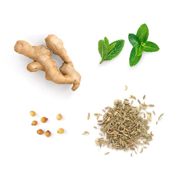 dōTERRA ZenGest Touch Roll On - 10mL - AHA SUPERSTORE