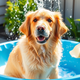 How Often Should I Wash My Dog?