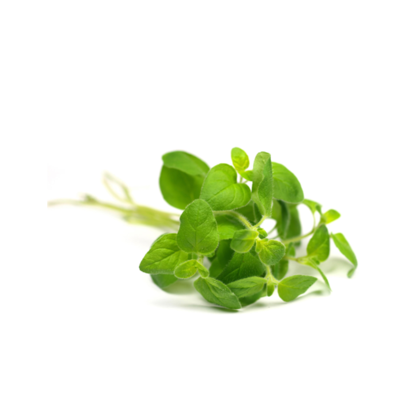 **OOS**dōTERRA Oregano Essential Oil - 15ml - AHA SUPERSTORE